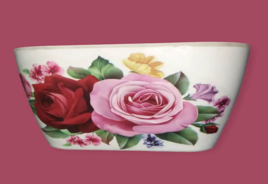 Big 1pcs Bowl