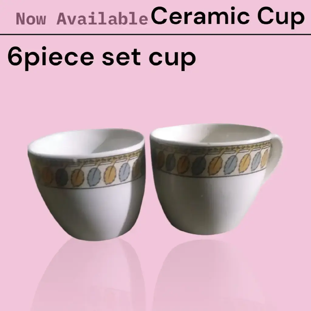 Ceramic cup 6 piece set
